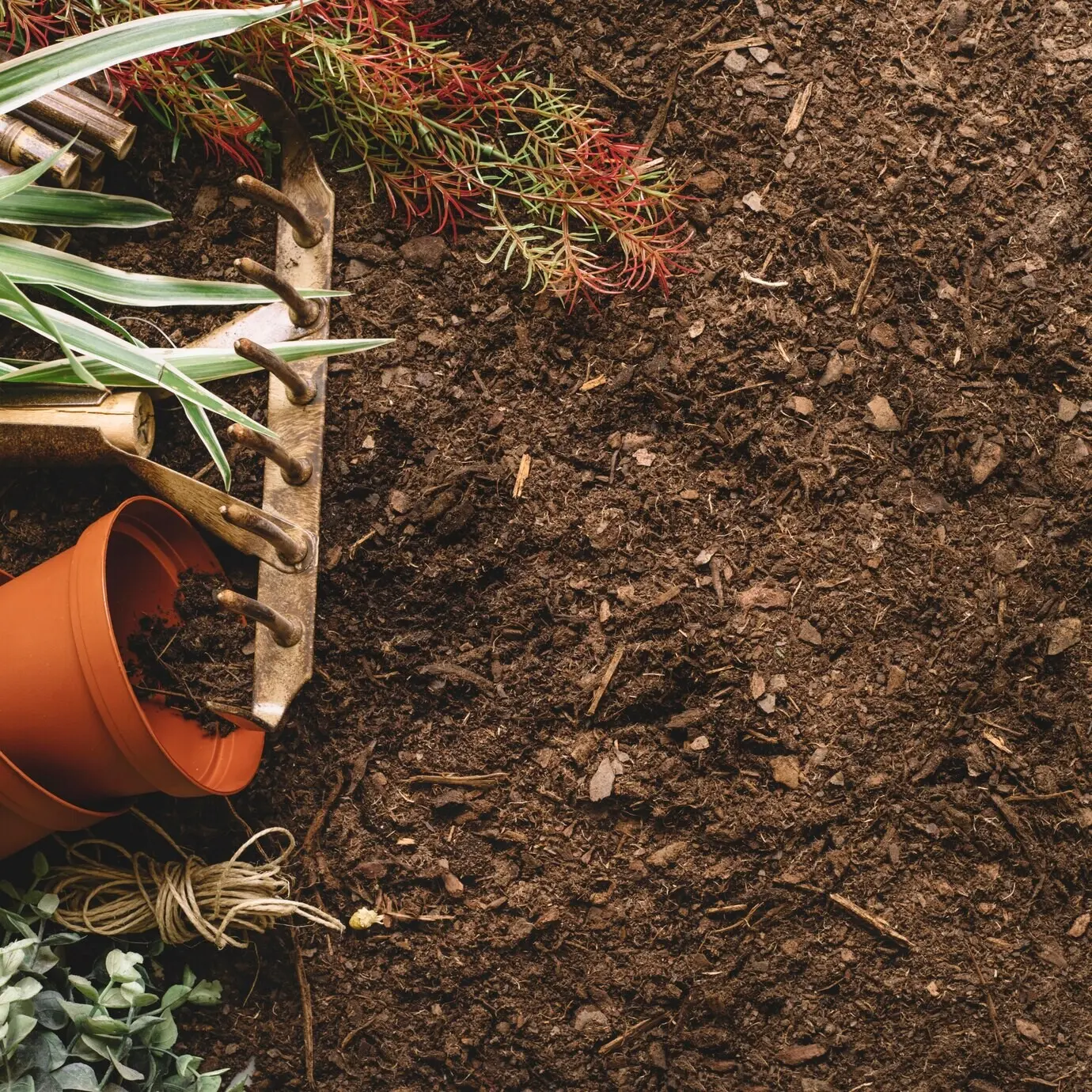 Садоводческая композиция со свободным пространством справа.